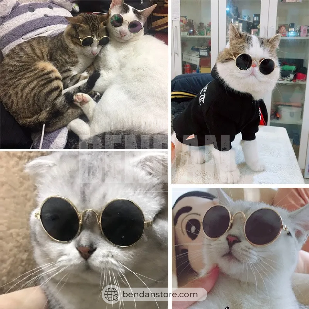 Gafas De Sol Para Mascotas