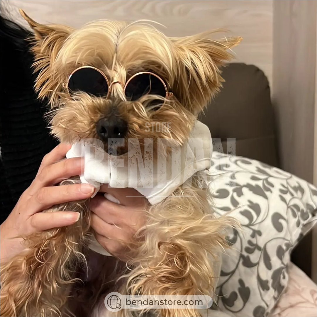 Gafas De Sol Para Mascotas